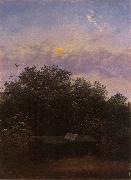 Carl Gustav Carus Blooming Elderberry Hedge in the Moonlight Sweden oil painting artist